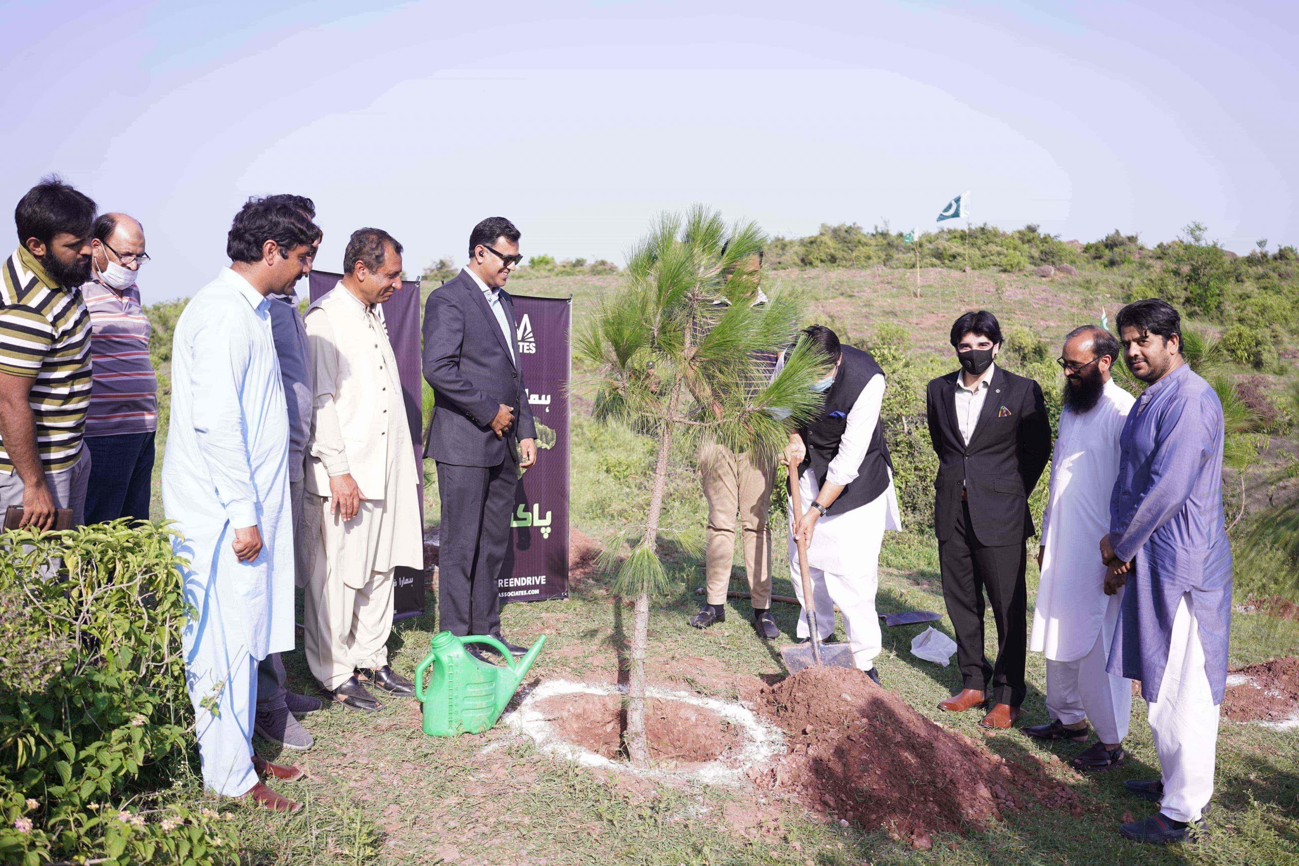 AAA Associates has initiated 1-Lac Tree Plantation Drive in Continuation gallery