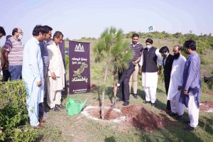 Read more about the article AAA Associates Has Initiated 1-Lac Tree Plantation