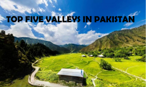 Read more about the article TOP FIVE EXQUISITE VALLEYS IN PAKISTAN
