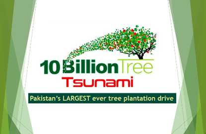 Read more about the article TREE PLANTATION DRIVE IN PAKISTAN